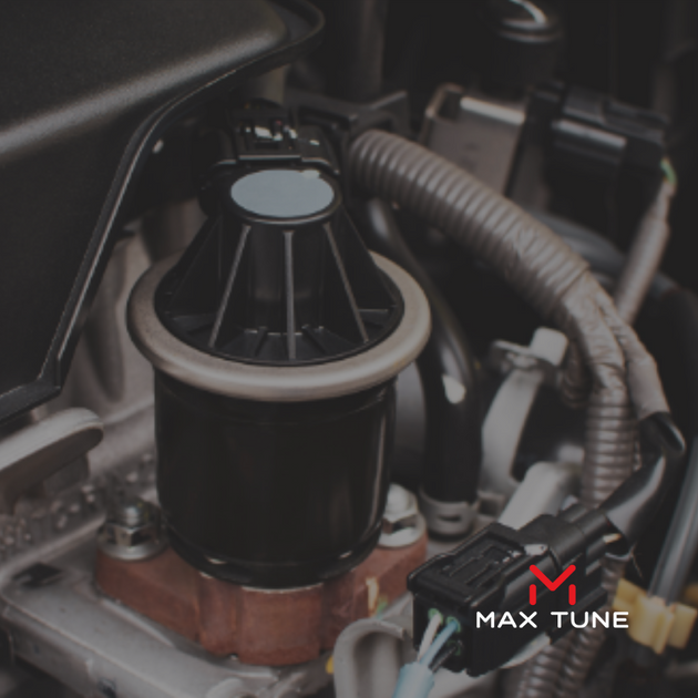 EGR Removal and Delete Max Tune